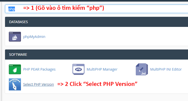 Click “Select PHP Version” trong tab Software and Services