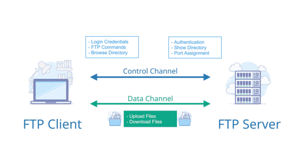 Server (máy chủ) và Client (máy khách) là hai điều kiện hoạt động của FTP