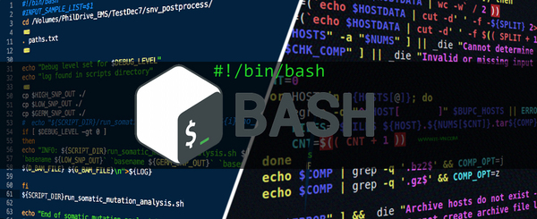 Bash shell là sự kết hợp các tính năng từ Korn Shell và C Shell