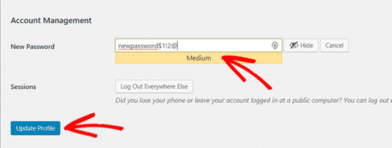 How to change WordPress password 3