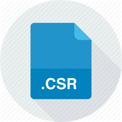 CSR là gì? CSR SSL là gì?