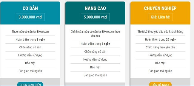 Gói thiết kế website chuẩn SEO tại BKNS